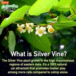 Hartz Cattraction Crinkle Mice Cat Toy, Multi Color, 10 Count -Cat Supplies 731710 PT5. AC SS1800 V1670515476