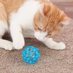 JW Pet Cataction Lattice Ball Cat Toy -Cat Supplies 73715 PT5. AC SS1800 V1525718983