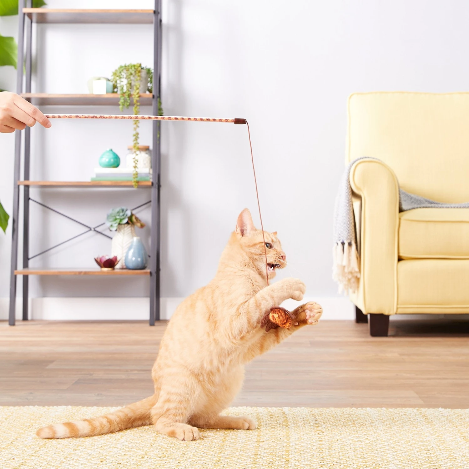 JW Pet Cataction Butterfly Wand Cat Toy 2 JW Pet Cataction Butterfly Wand Cat Toy - Image 2