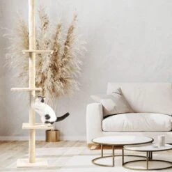 Cat Supplies -Cat Supplies 744814 PT1. AC SS1800 V1674070820