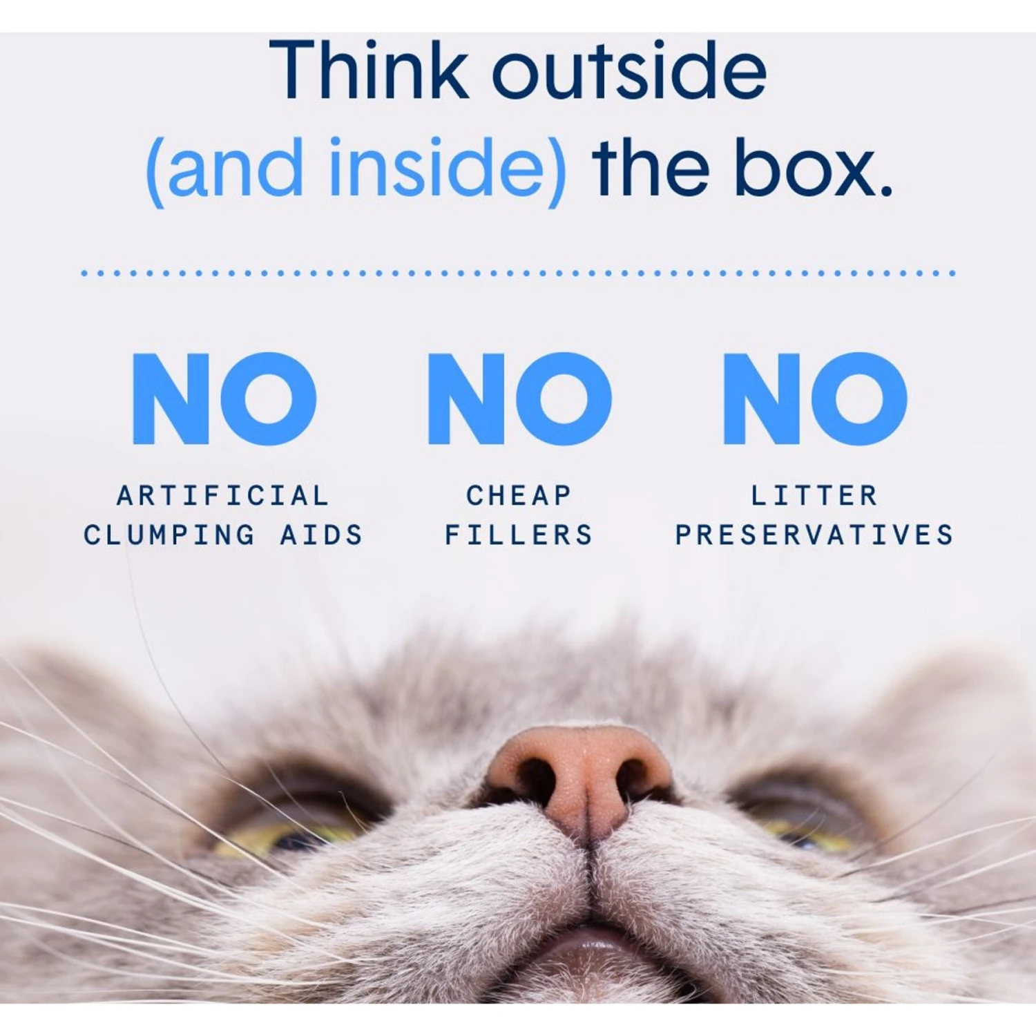 Boxiecat Air Lightweight Deep Clean Probiotic Unscented Clumping Cat Litter 5 Boxiecat Air Lightweight Deep Clean Probiotic Unscented Clumping Cat Litter - Image 5