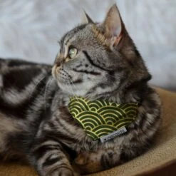 Necoichi Bandana Cat Collar With Air Tag Pocket, One Size -Cat Supplies 759454 PT5. AC SS1800 V1682709866