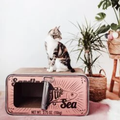 District 70 SARDINE Cardboard Cat Scratcher -Cat Supplies 762078 PT5. AC SS1800 V1675868157