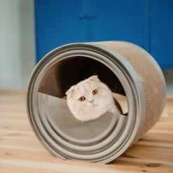 District 70 CAN Perfect Hiding Spot Funny Cat Scratcher, Grey -Cat Supplies 762118 PT6. AC SS1800 V1675868095