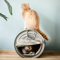 District 70 CAN Perfect Hiding Spot Funny Cat Scratcher, Grey -Cat Supplies 762118 PT7. AC SS1800 V1675868094