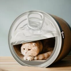 District 70 CAN Perfect Hiding Spot Funny Cat Scratcher, Grey -Cat Supplies 762118 PT8. AC SS1800 V1675868155