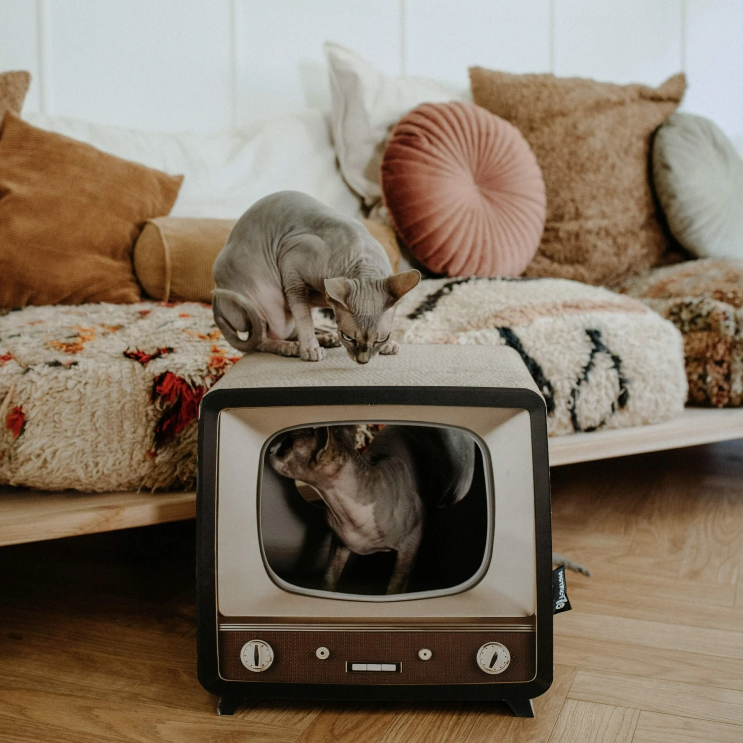 District 70 TELLY Retro Design Cat Scratcher, Brown 6 District 70 TELLY Retro Design Cat Scratcher, Brown - Image 6