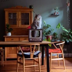 District 70 TELLY Retro Design Cat Scratcher, Brown 14 District 70 TELLY Retro Design Cat Scratcher, Brown -Cat Supplies 762134 PT6. AC SS1800 V1675873759