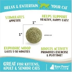 Raw Paws Compressed Catnip Ball Cat Toy, 6 Count -Cat Supplies 777974 PT2. AC SS1800 V1676653249