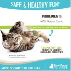 Raw Paws Compressed Catnip Ball Cat Toy, 6 Count -Cat Supplies 777974 PT3. AC SS1800 V1676653965
