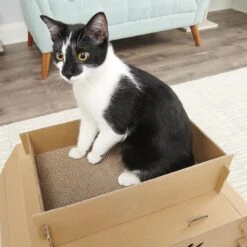 Carlson Pet Products Cat Camper & Scratcher -Cat Supplies 778382 PT5. AC SS1800 V1676490270