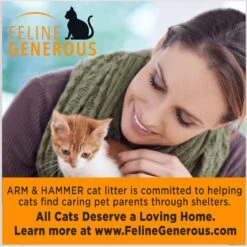 Arm & Hammer Litter Clump & Seal Multi-Cat Scented Clumping Clay Cat Litter -Cat Supplies 78026 PT6. AC SS1800 V1663797182