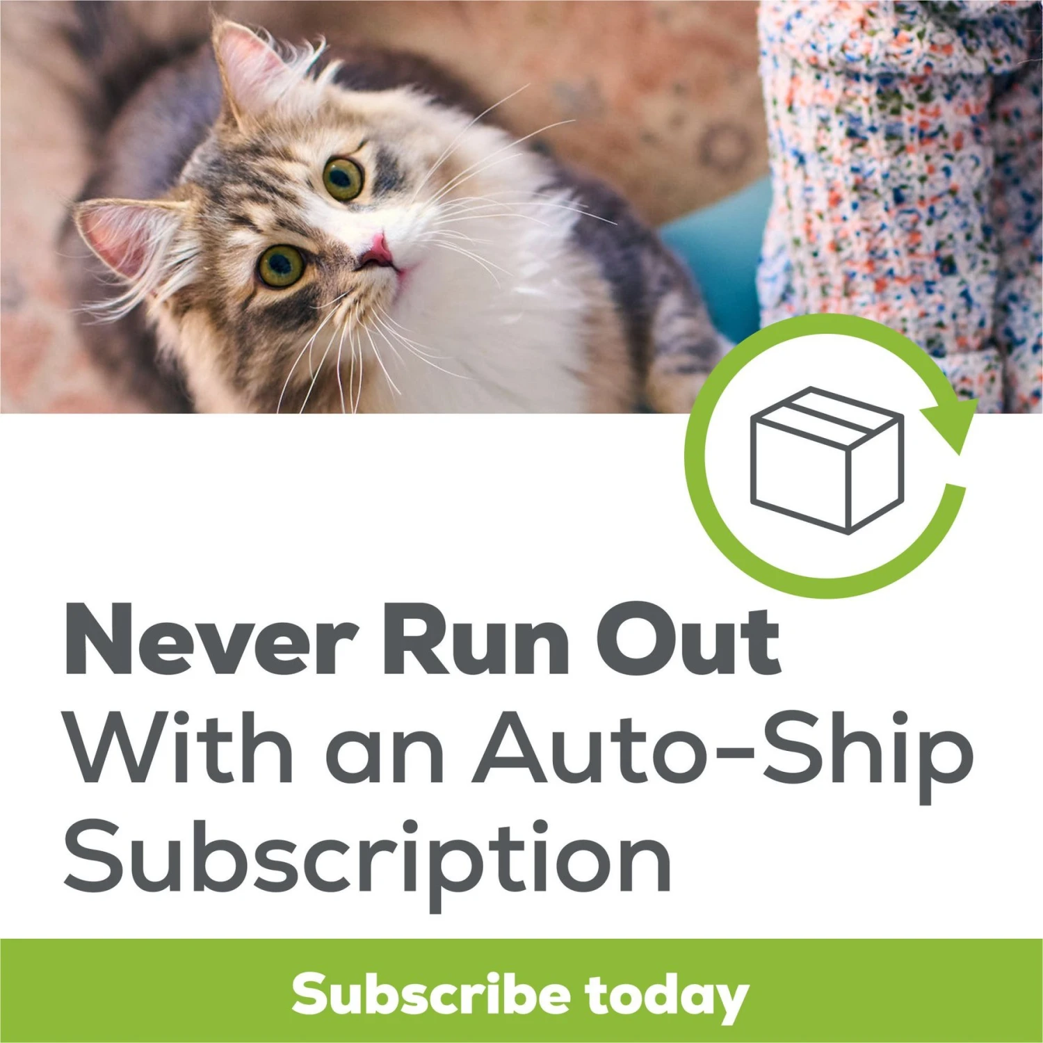 Tidy Cats Breeze Cat Litter Pellets Refill 8 Tidy Cats Breeze Cat Litter Pellets Refill - Image 8