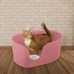 Richell PAW TRAX High Wall Cat Litter Box, X-Large -Cat Supplies 805006 PT3. AC SS1800 V1678913083