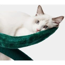 VETRESKA Cherry 23-in Cat Tree 17 VETRESKA Cherry 23-in Cat Tree -Cat Supplies 805150 PT8. AC SS1800 V1680528952