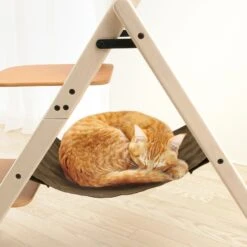 Richell Cat Foldable Ladder -Cat Supplies 812206 PT3. AC SS1800 V1679500243