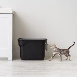 IRIS USA Square Top Entry Cat Litter Box With Scoop, Large -Cat Supplies 846630 PT2. AC SS1800 V1683835901