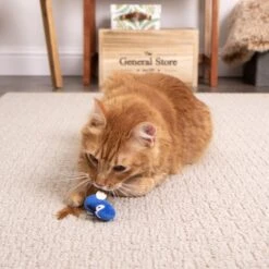 SmartyKat Instincts Chatty Chirp Plush HappyNip Silvervine & Catnip Bird Electronic Sound Cat Toy -Cat Supplies 847126 PT2. AC SS1800 V1683729178