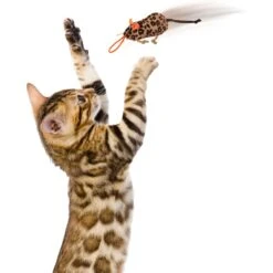 SmartyKat Instincts Safari Sneakers HappyNip Silvervine & Catnip Plush Cat Toys & Launcher Cat Toy, 3-pack & 1 Count -Cat Supplies 847206 PT5. AC SS1800 V1683728375