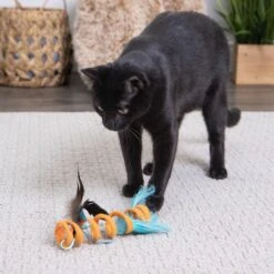 SmartyKat Instincts Crazy Coil Springy Cat Toy With Fringe & Detachable Feather Cat Toy -Cat Supplies 847222 PT2. AC SS1800 V1683728652