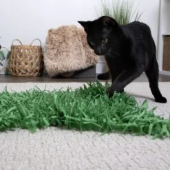 SmartyKat Instincts Meadow Mayhem Paper Grass Hide & Seek Cat Toy, 2-pack 9 SmartyKat Instincts Meadow Mayhem Paper Grass Hide & Seek Cat Toy, 2-pack -Cat Supplies 847238 PT2. AC SS1800 V1683728598