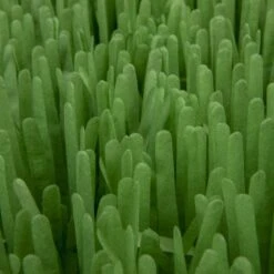 SmartyKat Instincts Meadow Mayhem Paper Grass Hide & Seek Cat Toy, 2-pack 13 SmartyKat Instincts Meadow Mayhem Paper Grass Hide & Seek Cat Toy, 2-pack -Cat Supplies 847238 PT6. AC SS1800 V1683728572