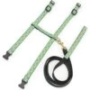 Up Country Tropical Fish Cat Harnes Set, Teal & Black