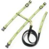 Up Country Say Cheese Cat Harness Set, Green & Black