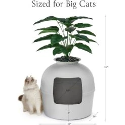 Bundle & Bliss Secret Litter Box Hidden Cat Litter Box Plant -Cat Supplies 897430 PT5. AC SS1800 V1687891877