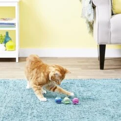 KONG Tennis Balls With Bells Cat Toy -Cat Supplies 91319 PT7. AC SS1800 V1603147294