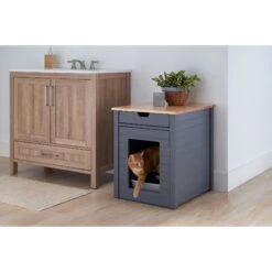 TRINITY 20-in Enclosure End Table With Drawer Cat Litter Box, Dark Grey, Small