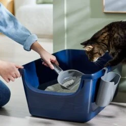 Frisco Open Top Cat Litter Box With Rim, Large & Frisco Plastic Litter Scooper With Caddy -Cat Supplies 947526 PT5. AC SS1800 V1693924259