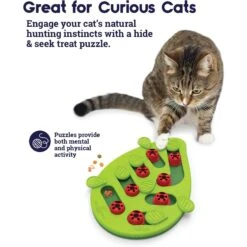 Nina Ottosson By Outward Hound Buggin' Out Puzzle & Play Cat Toy & Doc & Phoebe's Cat Co. Indoor Hunting Cat Feeder Kit 13 Nina Ottosson By Outward Hound Buggin' Out Puzzle & Play Cat Toy & Doc & Phoebe's Cat Co. Indoor Hunting Cat Feeder Kit -Cat Supplies 947542 PT4. AC SS1800 V1693925091