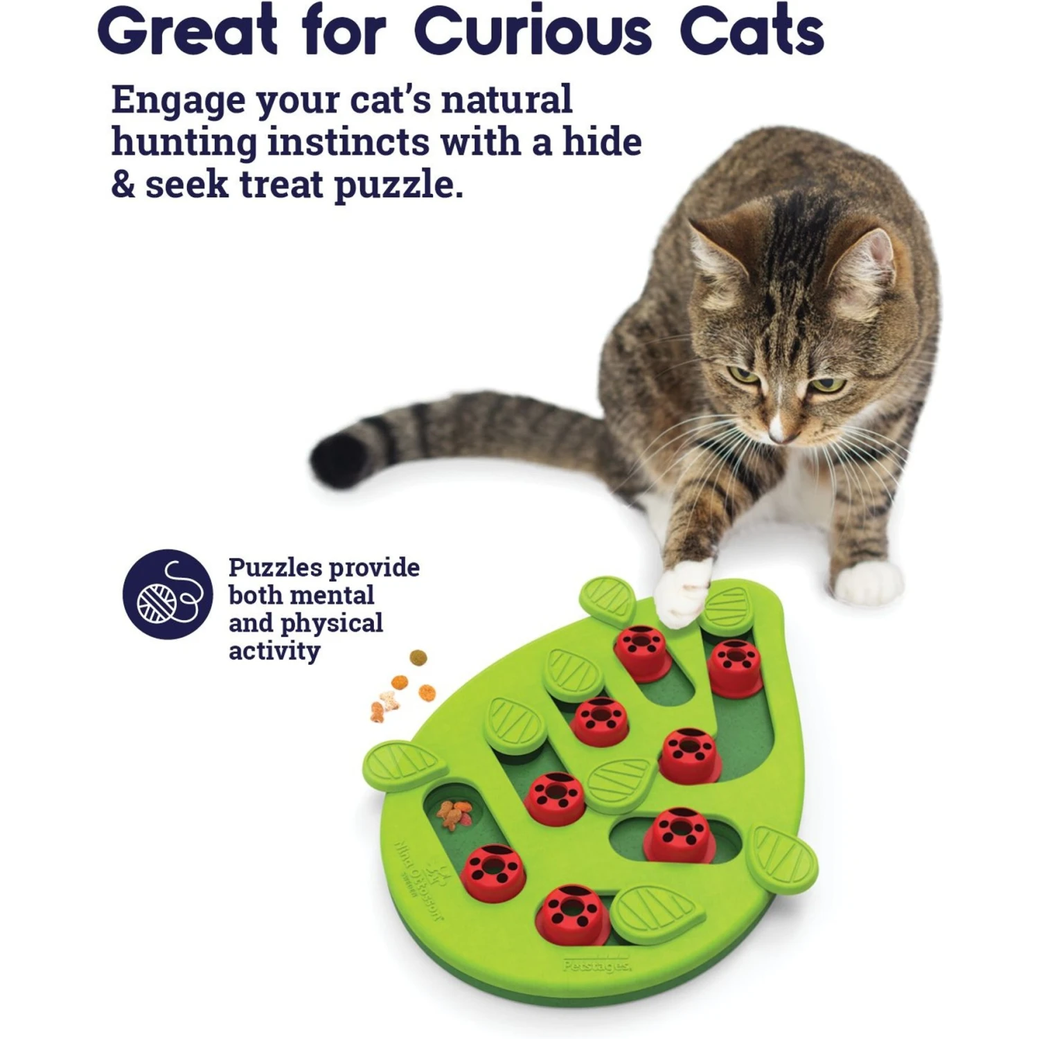 Nina Ottosson By Outward Hound Buggin' Out Puzzle & Play Cat Toy & Doc & Phoebe's Cat Co. Indoor Hunting Cat Feeder Kit 5 Nina Ottosson By Outward Hound Buggin' Out Puzzle & Play Cat Toy & Doc & Phoebe's Cat Co. Indoor Hunting Cat Feeder Kit - Image 5