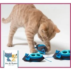 Nina Ottosson By Outward Hound Buggin' Out Puzzle & Play Cat Toy & Doc & Phoebe's Cat Co. Indoor Hunting Cat Feeder Kit 17 Nina Ottosson By Outward Hound Buggin' Out Puzzle & Play Cat Toy & Doc & Phoebe's Cat Co. Indoor Hunting Cat Feeder Kit -Cat Supplies 947542 PT8. AC SS1800 V1693600221