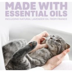 Naturally Fresh Harmony Lavender & Bamboo Scented Clumping Cat Litter -Cat Supplies 961182 PT5. AC SS1800 V1697726330