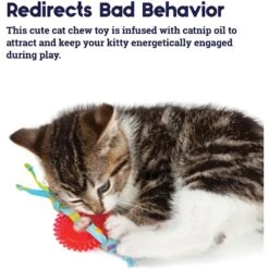 Catstages Fresh Breath Mint Stick Cat Chew Toy & Catstages Dental Kitty Chew Wheel Cat Chew Toy -Cat Supplies 961990 PT8. AC SS1800 V1694784008