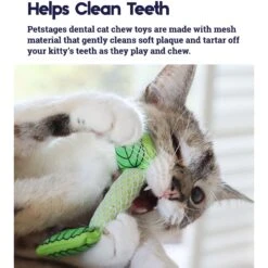 Catstages Dental Banana Cat Chew Toy With Catnip & Catstages Fresh Breath Mint Stick Cat Chew Toy 16 Catstages Dental Banana Cat Chew Toy With Catnip & Catstages Fresh Breath Mint Stick Cat Chew Toy -Cat Supplies 962038 PT7. AC SS1800 V1694783953