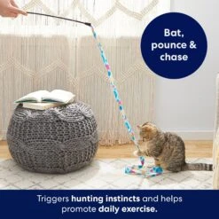 Frisco Fabric Teaser Wand Cat Toy & Frisco Bird With Feathers Teaser Wand Cat Toy With Catnip -Cat Supplies 962094 PT3. AC SS1800 V1694782977