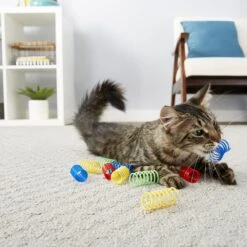 Frisco Colorful Springs Cat Toy & Frisco Bird With Feathers Teaser Wand Cat Toy With Catnip -Cat Supplies 962126 PT4. AC SS1800 V1694782923