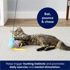 Frisco Colorful Springs Cat Toy & Frisco Bird With Feathers Teaser Wand Cat Toy With Catnip -Cat Supplies 962126 PT8. AC SS1800 V1694782921