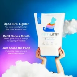 PrettyLitter Scented Cat Litter -Cat Supplies 970462 PT4. AC SS1800 V1695996549